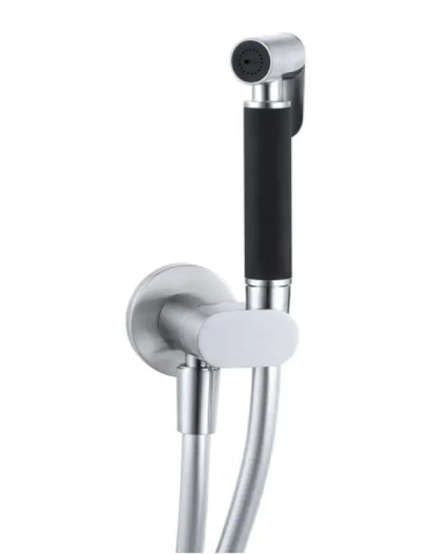 Waterevolution Flow bidé-handdoucheset roestvrij staal T1626IE