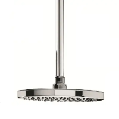 Waterevolution Flow hoofddouche 250mm met plafondaansluiting volledig RVS