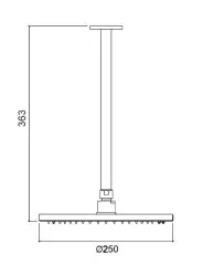 Waterevolution Flow hoofddouche 250 mm plafondaansluiting chroom T16422501