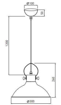Decor Mees zwarte metalen hanglamp met kapbevestiging in de vorm van een petroleumlamp 2363