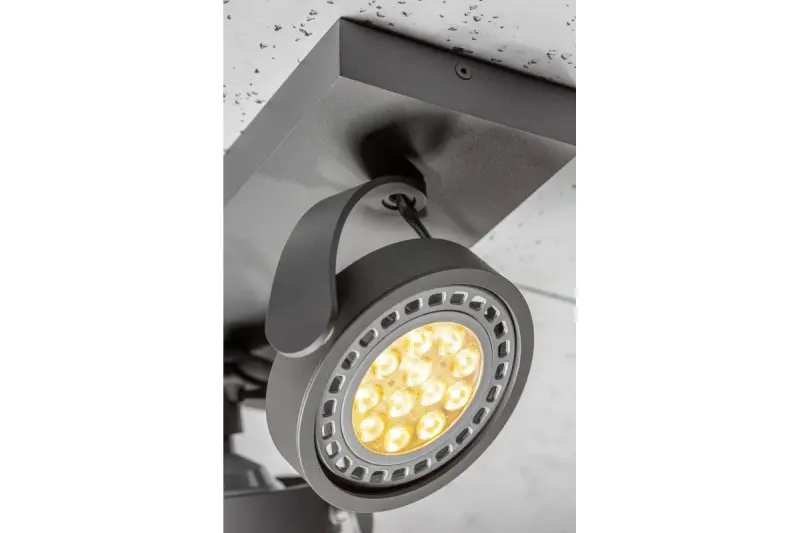 Decor Wally plafonnière of wandlamp antraciet met beweegbare kop, 2 lichtbronnen, 4304