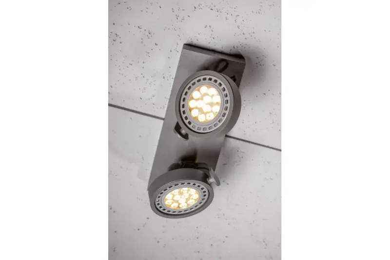 Decor Wally plafonnière of wandlamp antraciet met beweegbare kop, 2 lichtbronnen, 4304