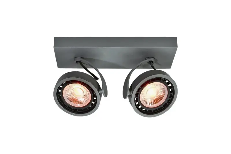 Decor Wally plafonnière of wandlamp antraciet met beweegbare kop, 2 lichtbronnen, 4304