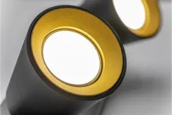 Decor Elli modern fekete mennyezeti lámpa 2 fényforrással 4557