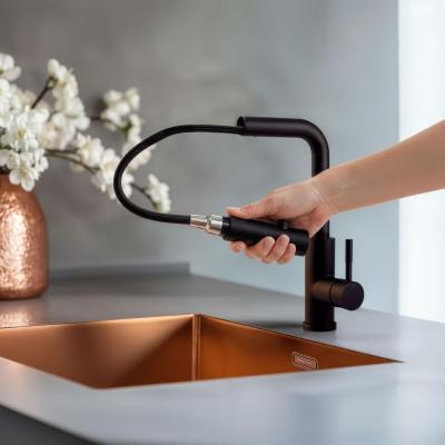 Pure.Sink Elite Steel Spark-S kuhinjska slavina Mat crna s izvlačnim izljevom PS8041-10
