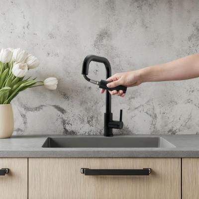 Pure.Sink Elite Steel Crystal-S kuhinjska slavina Mat crna s izvlačnim izljevom PS8050-10