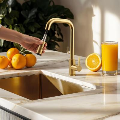Pure.Sink Elite Steel Crystal-S kuhinjska slavina PVD Brušeno zlato s izvlačnim izljevom PS8050-60