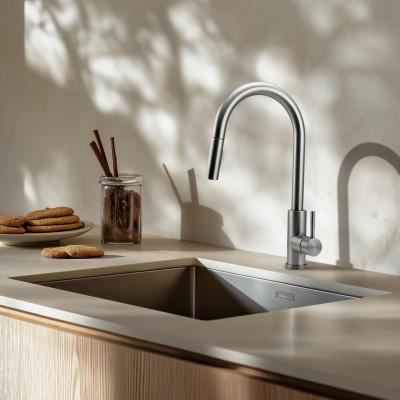 Pure.Sink Elite Steel Stream-S kuhinjska slavina od Nehrđajućeg Čelika s izvlačnim izljevom PS8045-02