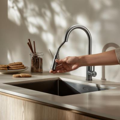 Pure.Sink Elite Steel Stream-S kuhinjska slavina od Nehrđajućeg Čelika s izvlačnim izljevom PS8045-02