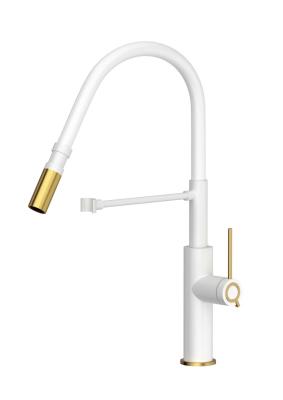 Quadri Retford Keukenmengkraan Wit met Gouden Afwerking en Flexibele Witte Uitloop 1208967770

Quadri Retford Fehér Konyhai Csaptelep Arany Bevonattal és Rugalmas Fehér Kifolyóval 1208967770