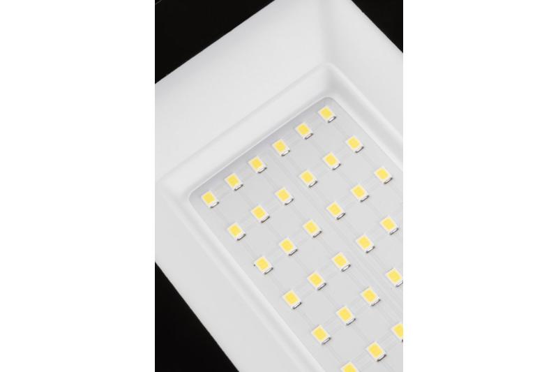 NELI Hordozható Reflektor, LED, 30W, 2700lm, 6400K, AC220-240V, IP65, 1,5m kábel