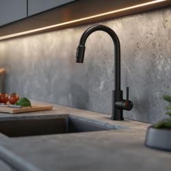 Quadri Viora Kitchen Mixer Tap Black 3-way with an extra connection for filtered water 1208971403